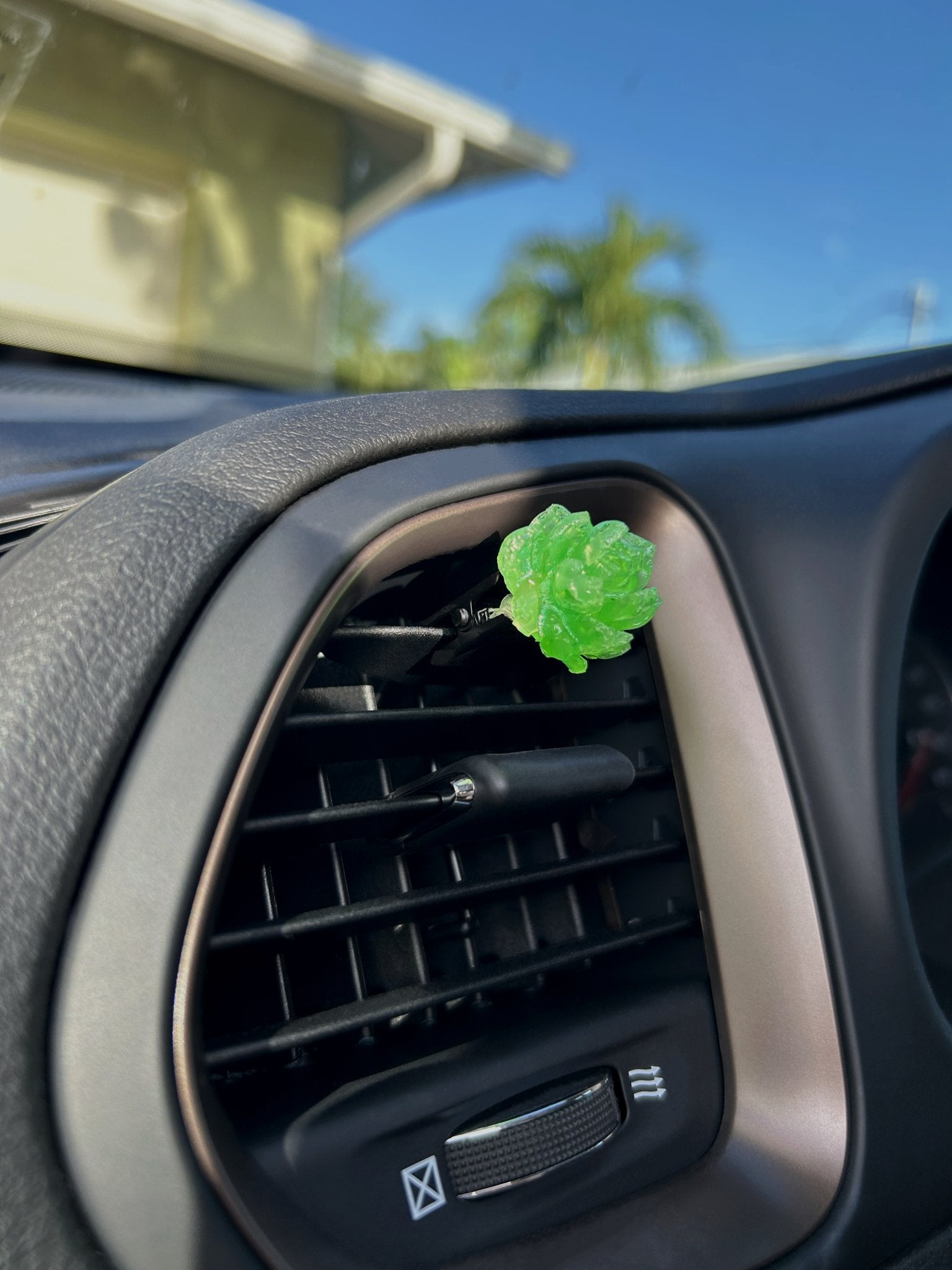 Succulent Vent Car Freshener - Project Palette