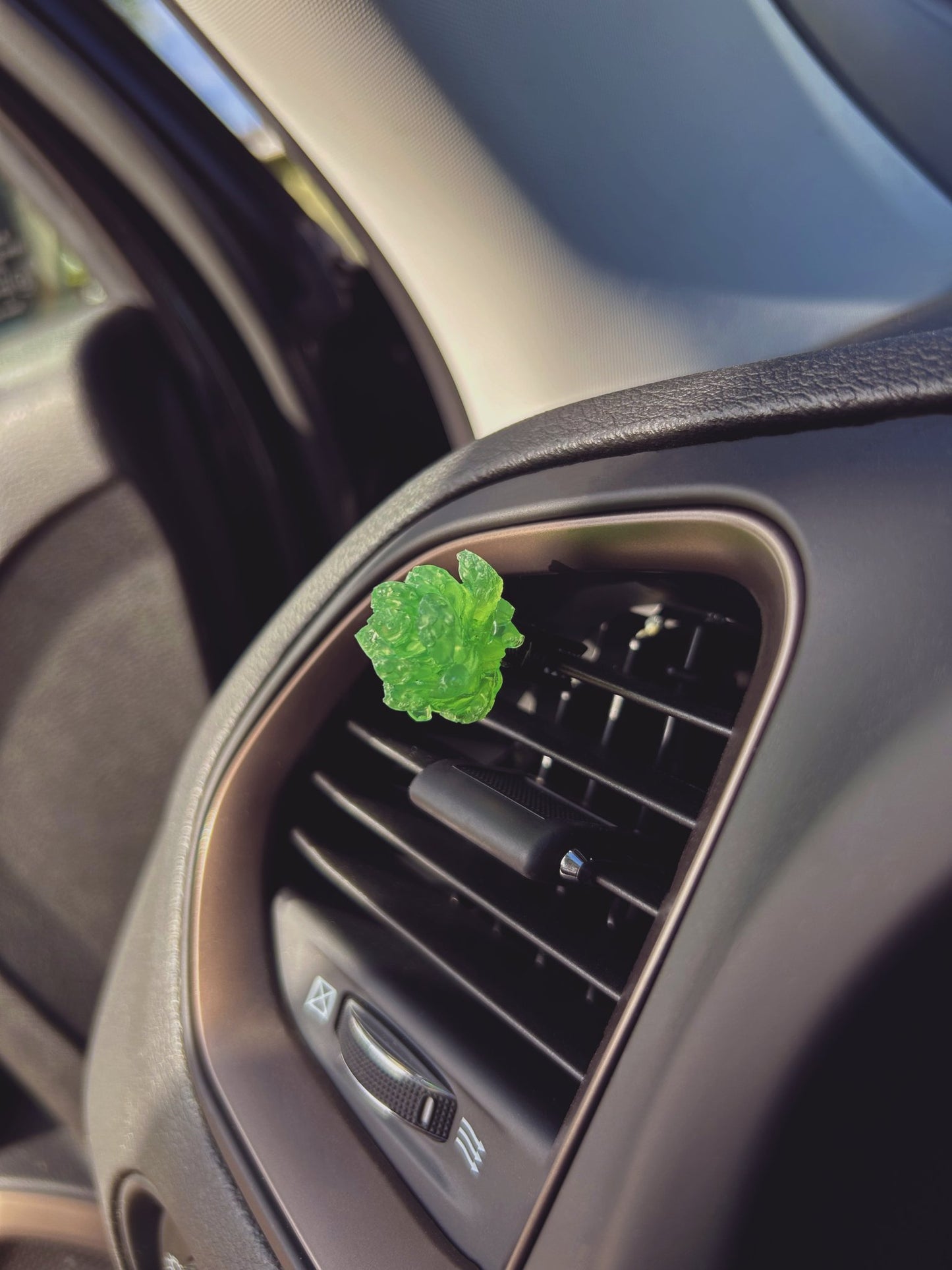 Succulent Vent Car Freshener - Project Palette